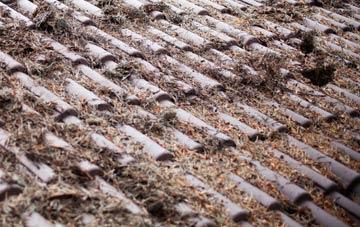 Bryn Rhys roof cleaning companies