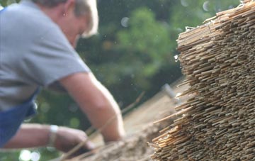 professional Bryn Rhys thatchers